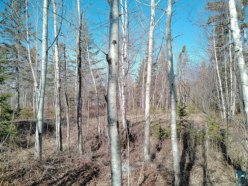 2xx Overlook Tr Tofte MN 55615 6125078 image26