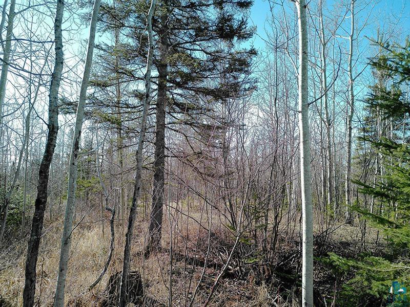 2xx Overlook Tr Tofte MN 55615 6125078 image27