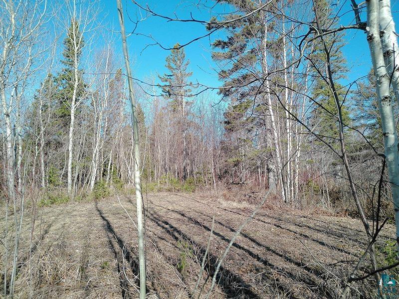 2xx Overlook Tr Tofte MN 55615 6125078 image28