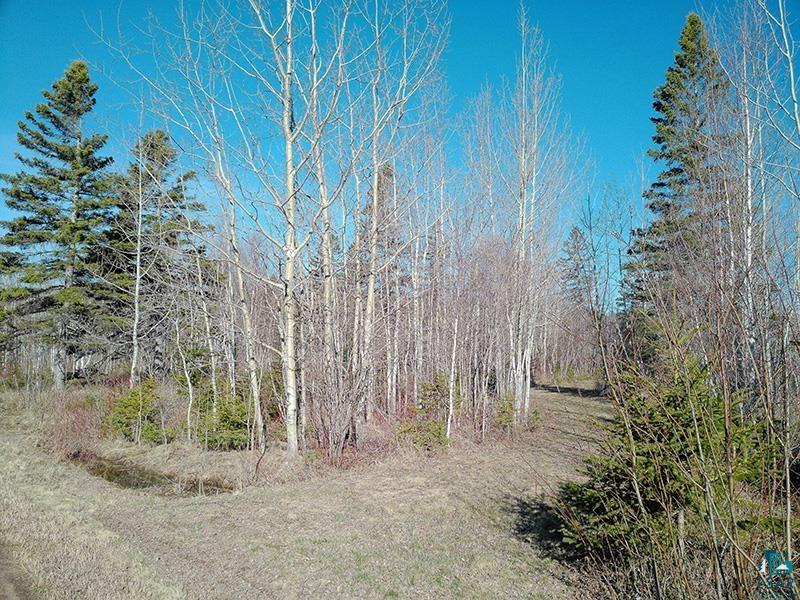 2xx Overlook Tr Tofte MN 55615 6125078 image3