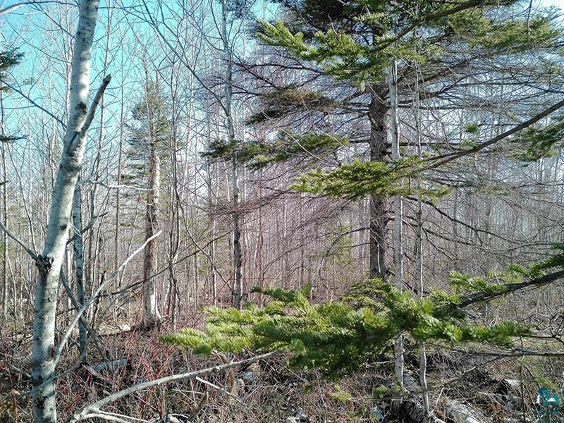 2xx Overlook Tr Tofte MN 55615 6125078 image30