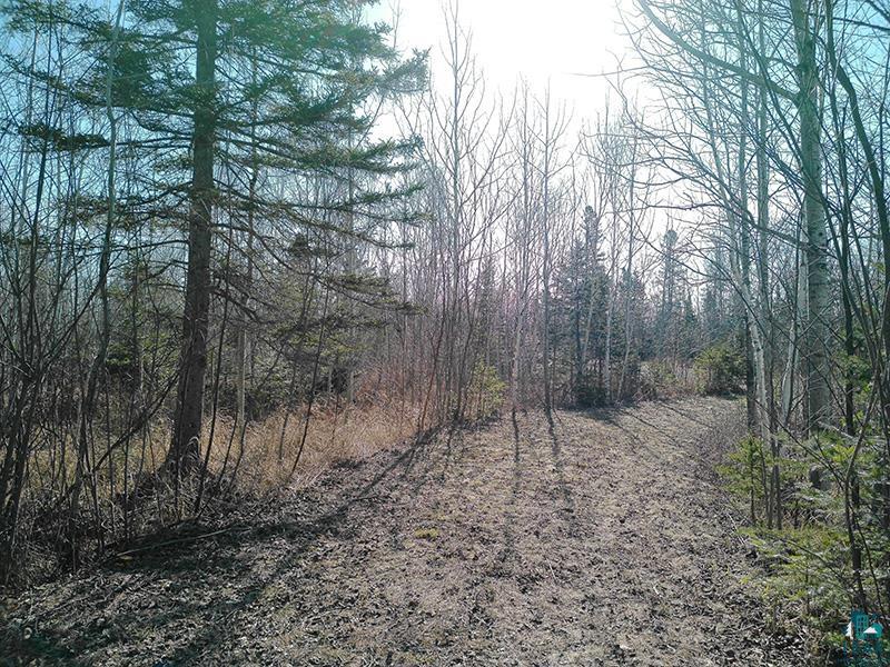 2xx Overlook Tr Tofte MN 55615 6125078 image32