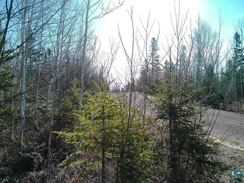 2xx Overlook Tr Tofte MN 55615 6125078 image33