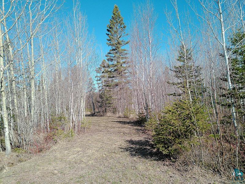2xx Overlook Tr Tofte MN 55615 6125078 image36