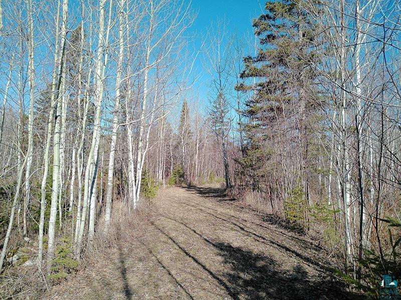 2xx Overlook Tr Tofte MN 55615 6125078 image39