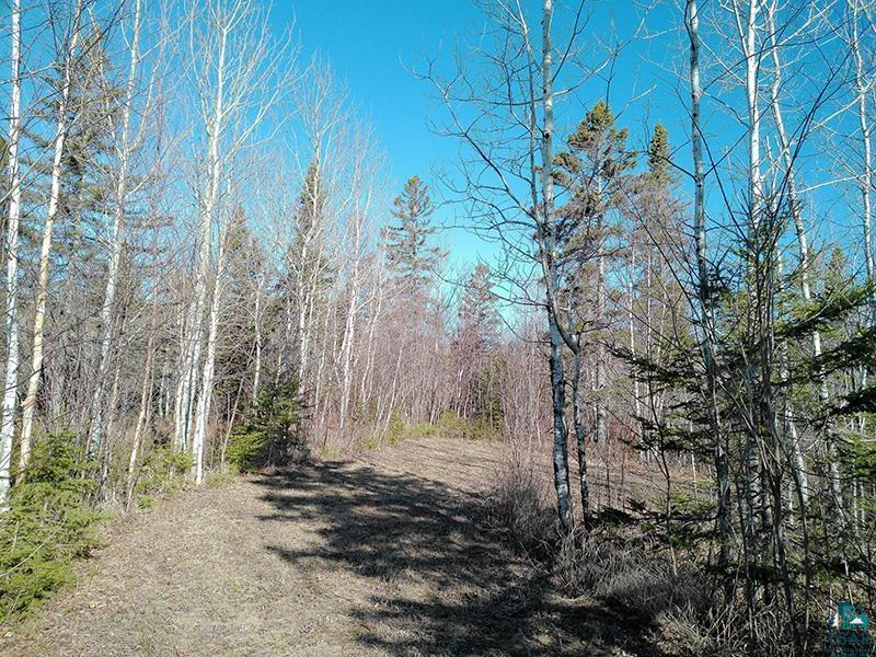 2xx Overlook Tr Tofte MN 55615 6125078 image4