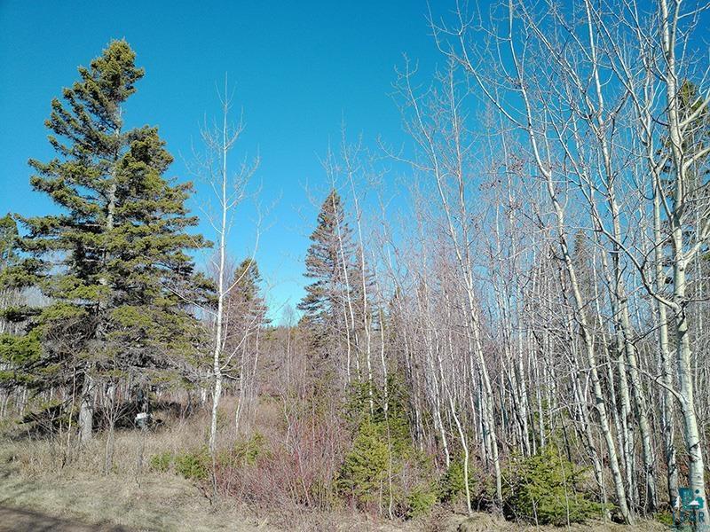 2xx Overlook Tr Tofte MN 55615 6125078 image42