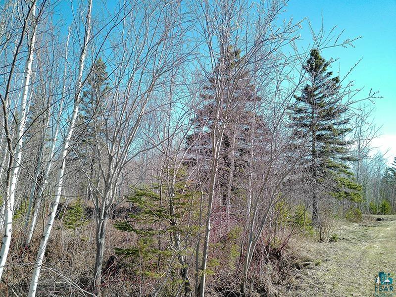 2xx Overlook Tr Tofte MN 55615 6125078 image44