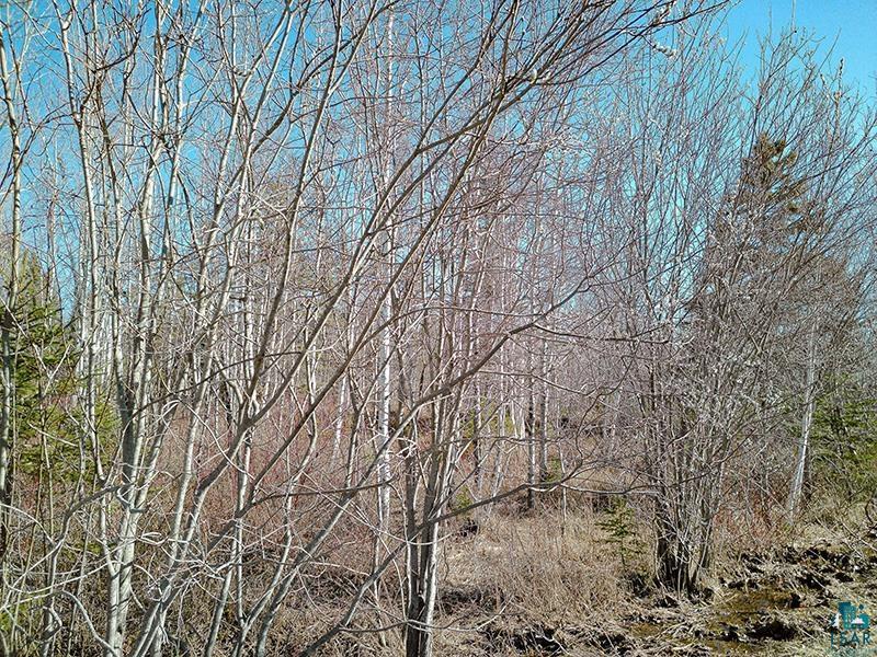 2xx Overlook Tr Tofte MN 55615 6125078 image45