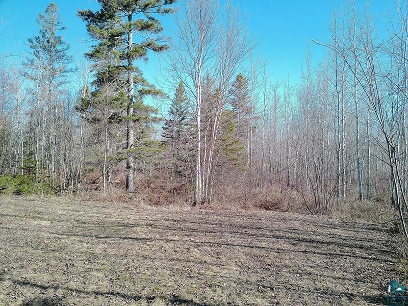 2xx Overlook Tr Tofte MN 55615 6125078 image5
