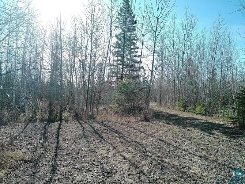 2xx Overlook Tr Tofte MN 55615 6125078 image6