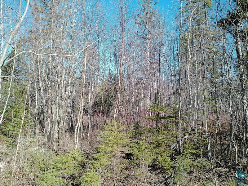 2xx Overlook Tr Tofte MN 55615 6125078 image7