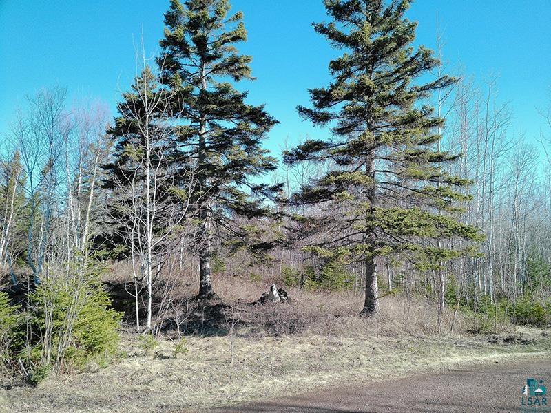 2xx Overlook Tr Tofte MN 55615 6125078 image8