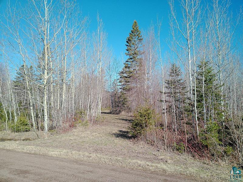 2xx Overlook Tr Tofte MN 55615 6125078 image9