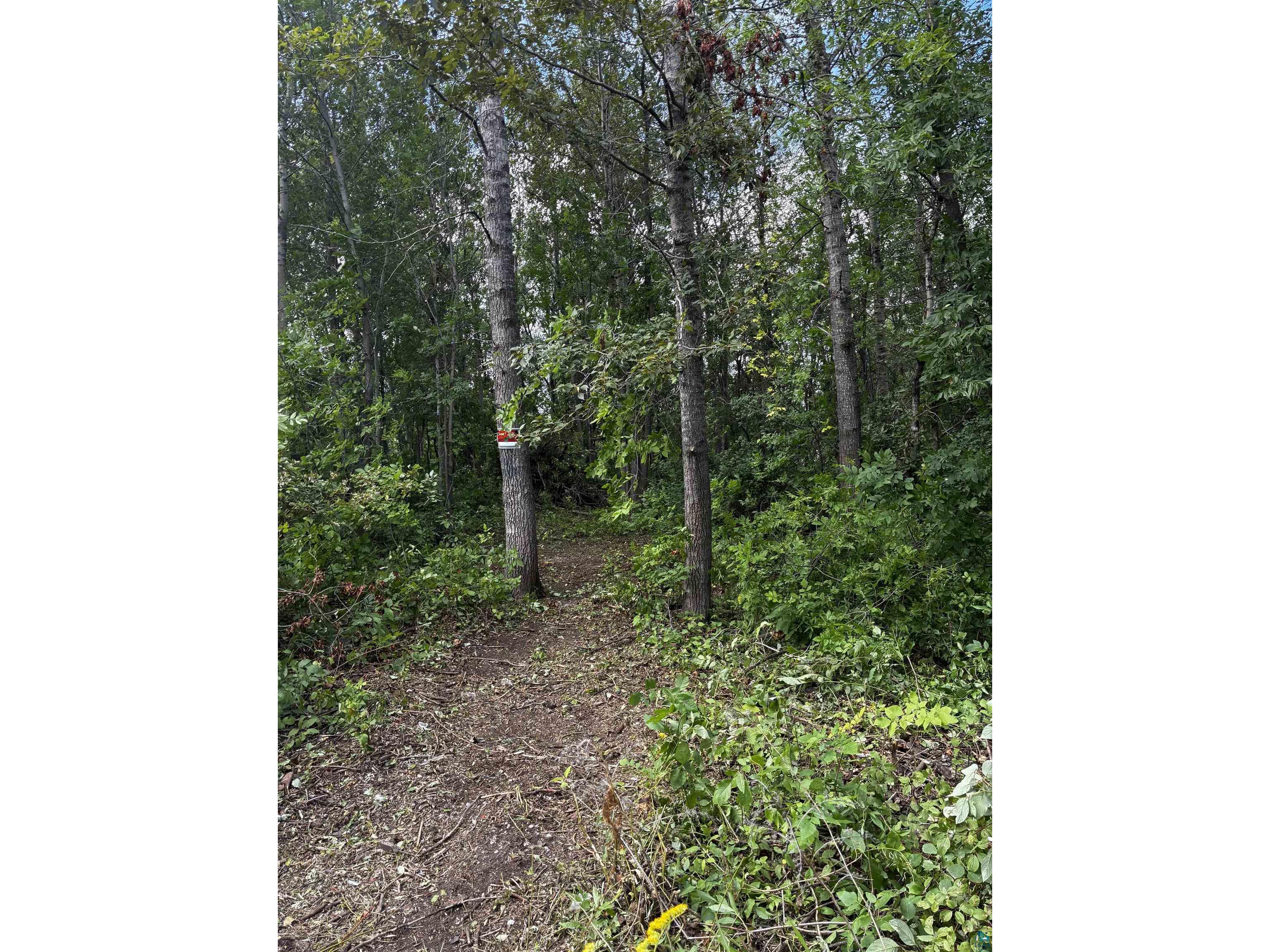2xx S 63rd Ave W Duluth MN 55807 6123870 image1