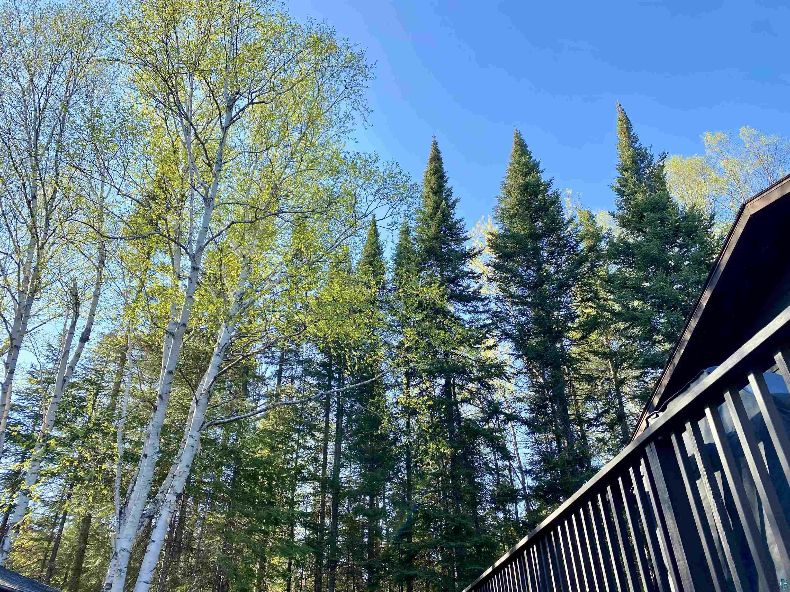 300 Caribou Tr Lutsen MN 55612 6125948 image43