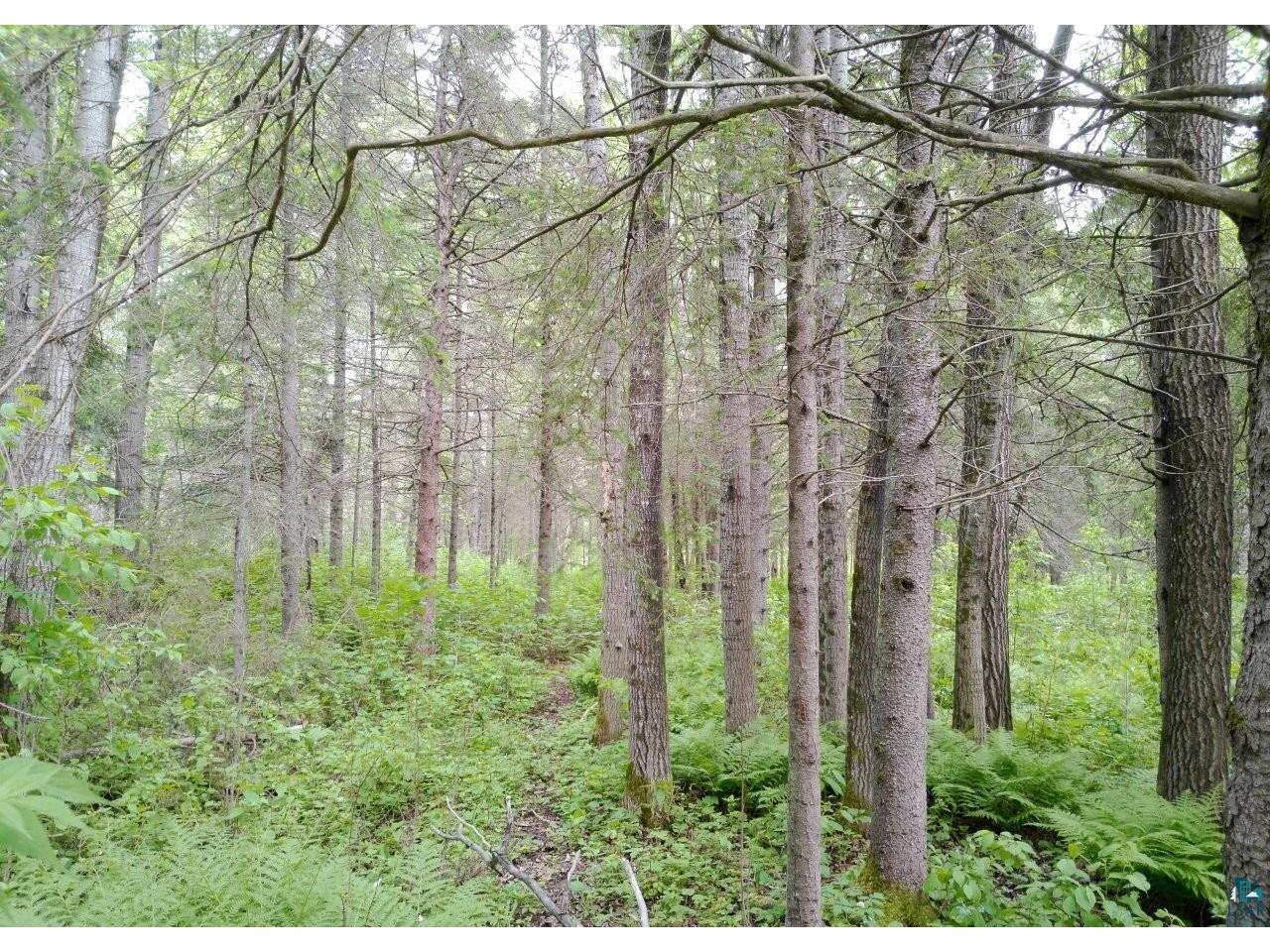 300 Caribou Tr Lutsen MN 55612 6125948 image48
