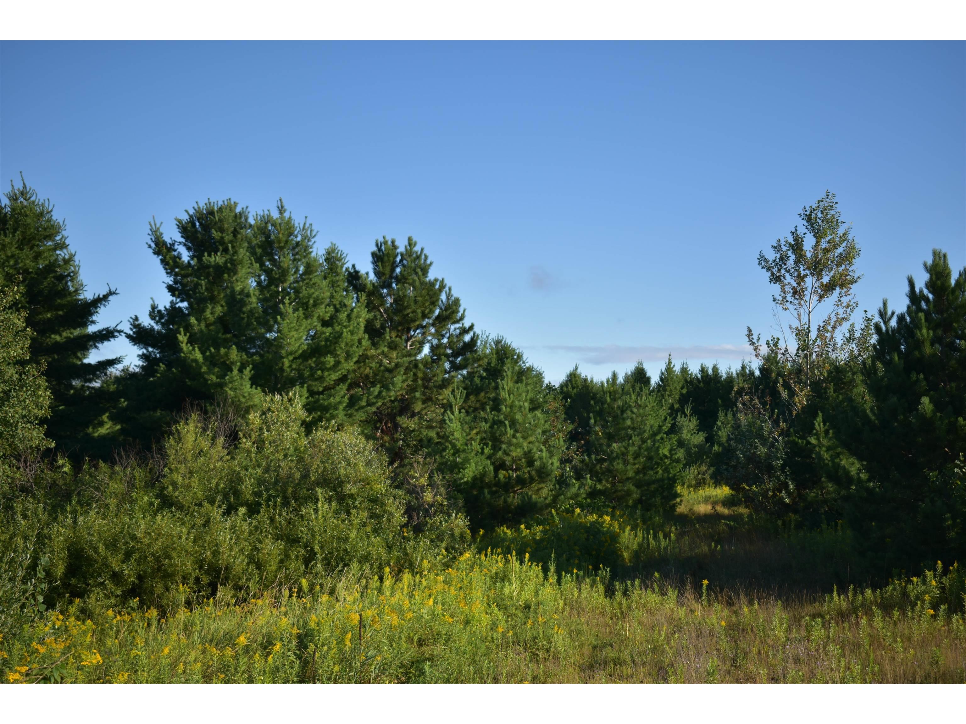 30210 Wannebo Rd Washburn WI 54891 - Thompson 6121626 image1