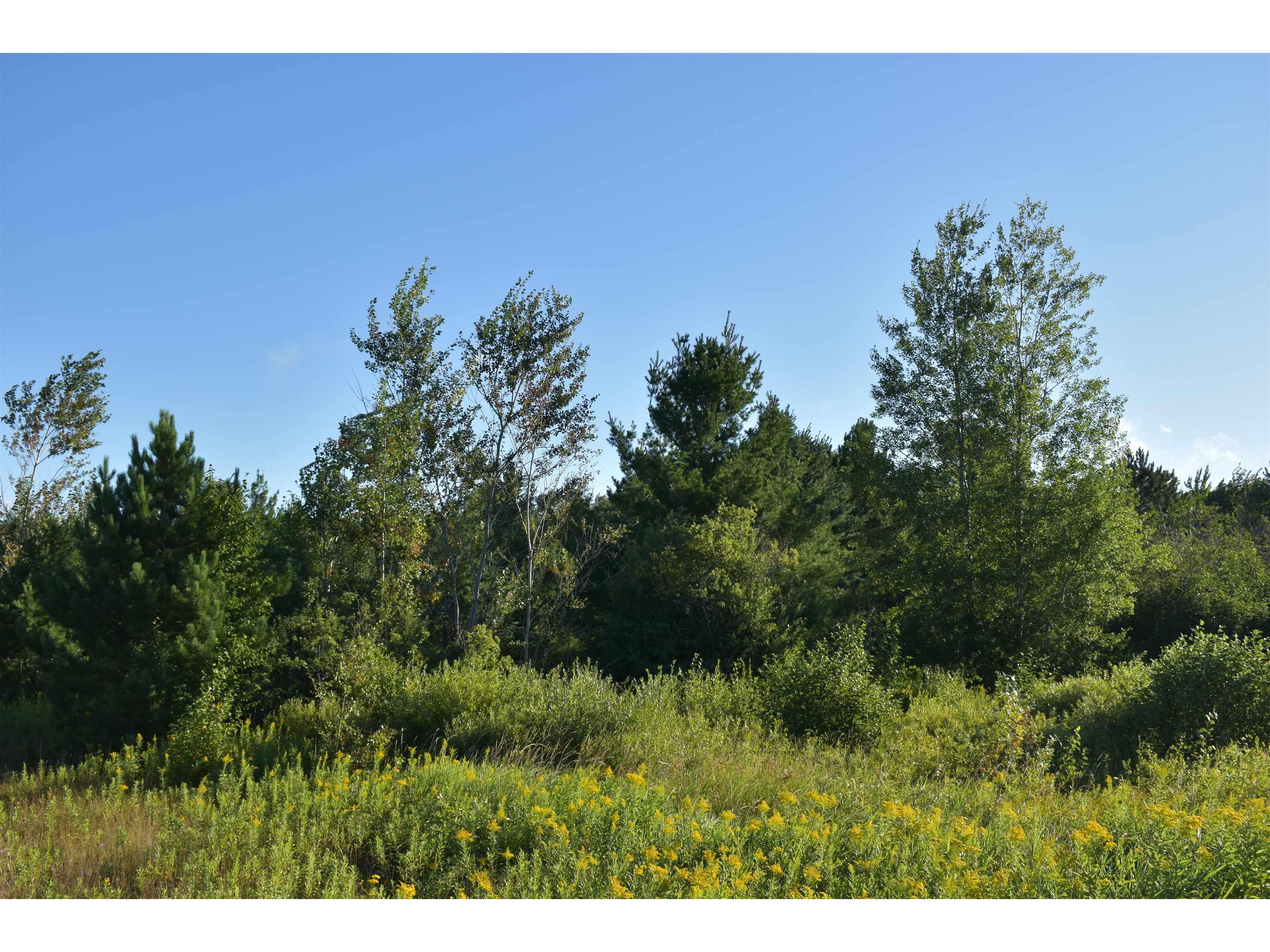 30210 Wannebo Rd Washburn WI 54891 - Thompson 6121626 image11