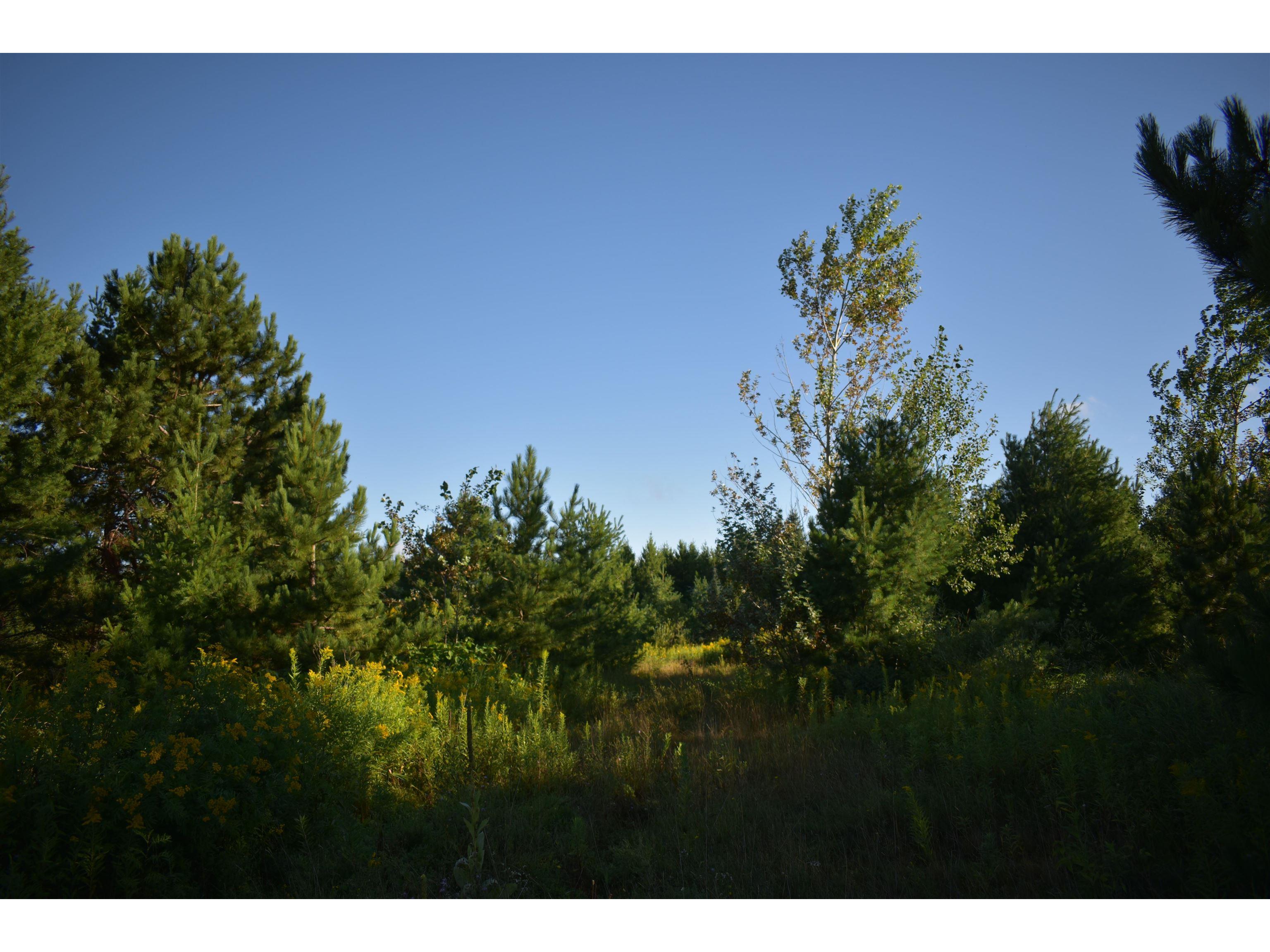 30210 Wannebo Rd Washburn WI 54891 - Thompson 6121626 image12