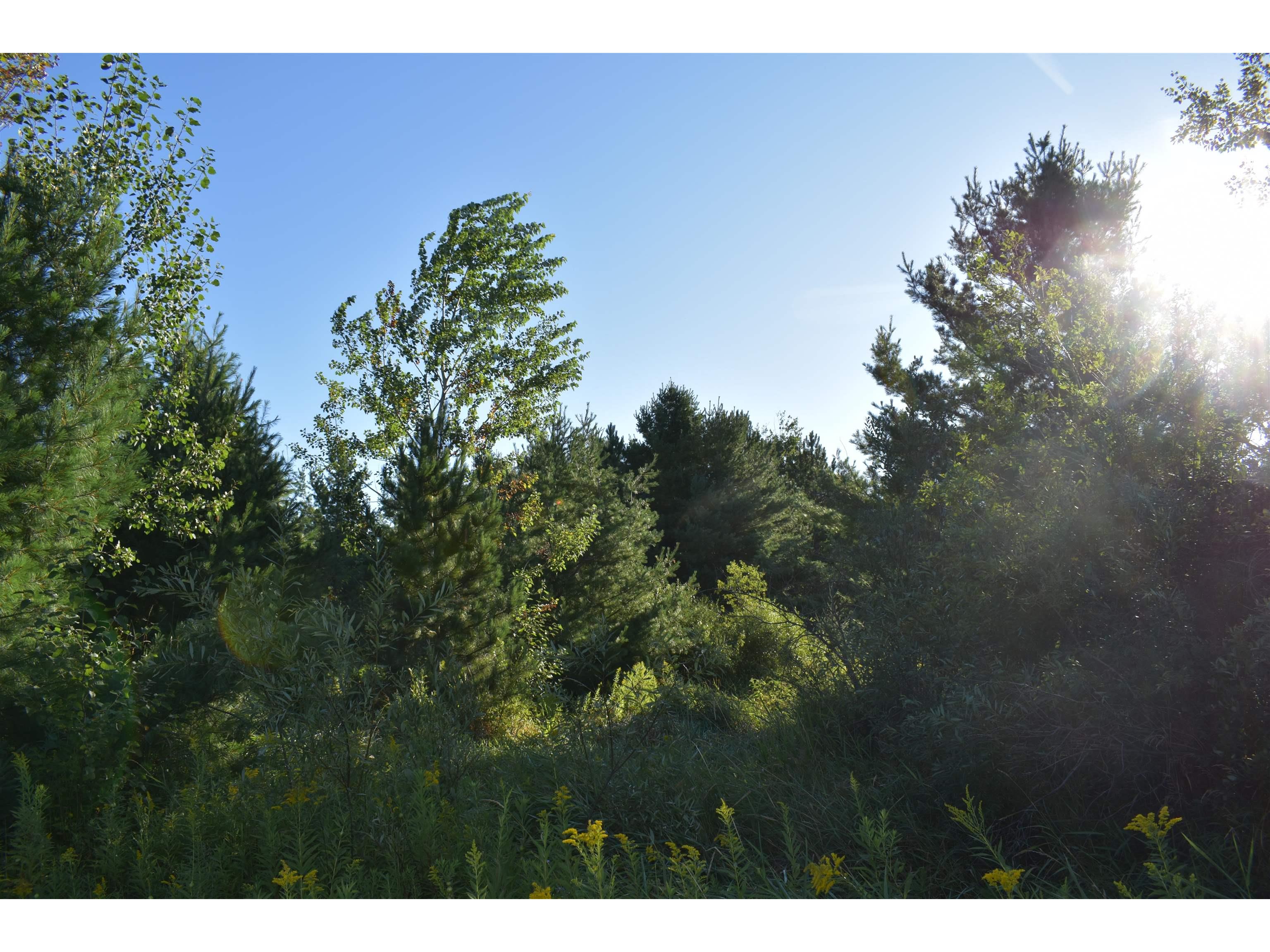 30210 Wannebo Rd Washburn WI 54891 - Thompson 6121626 image13