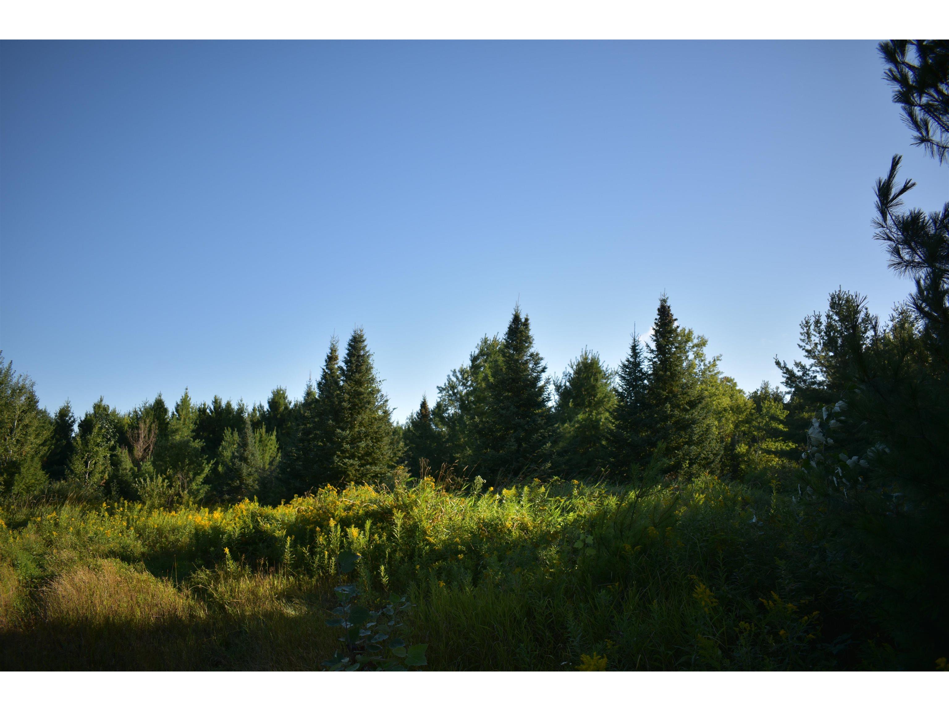 30210 Wannebo Rd Washburn WI 54891 - Thompson 6121626 image14