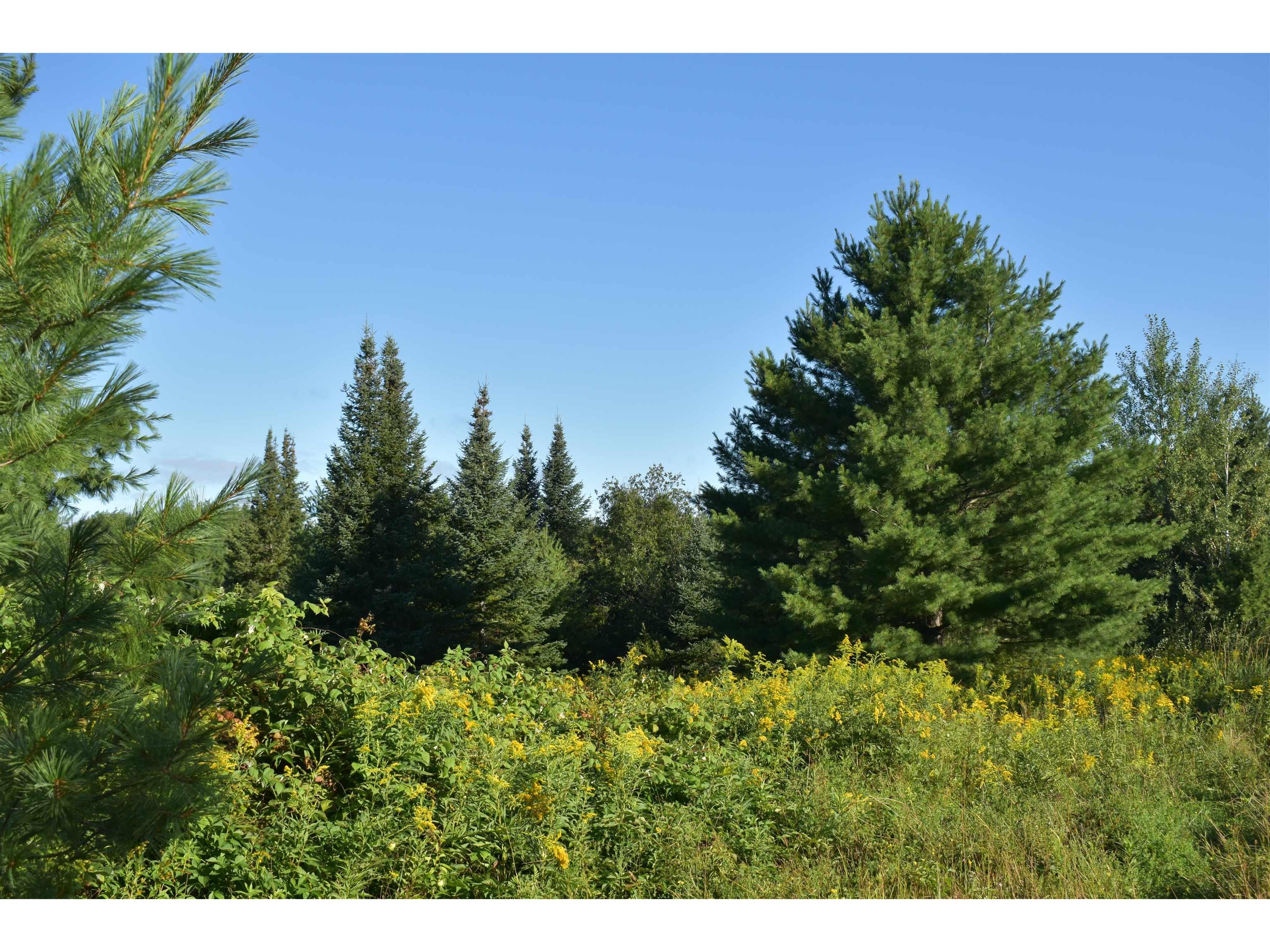 30210 Wannebo Rd Washburn WI 54891 - Thompson 6121626 image15