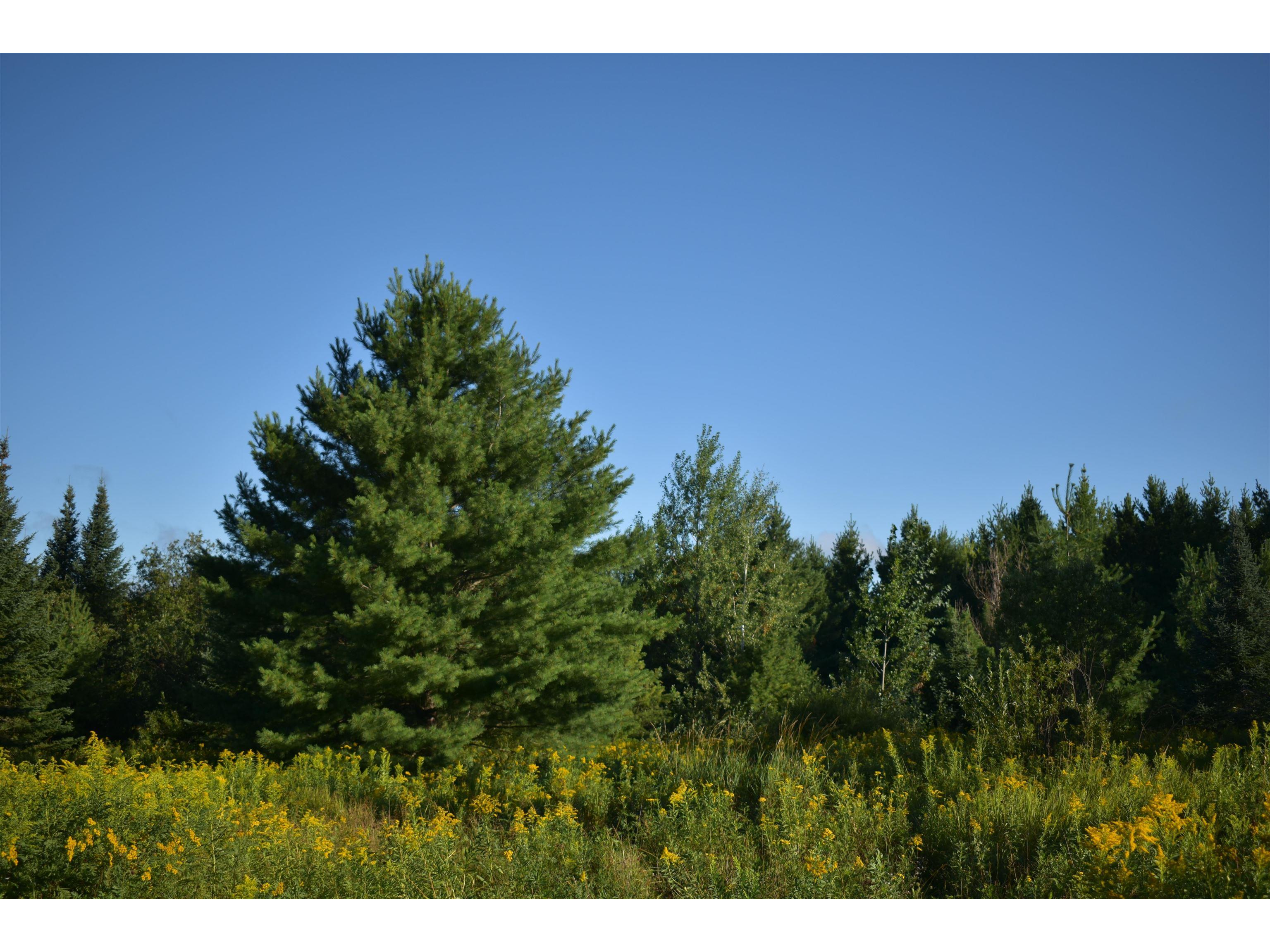 30210 Wannebo Rd Washburn WI 54891 - Thompson 6121626 image16