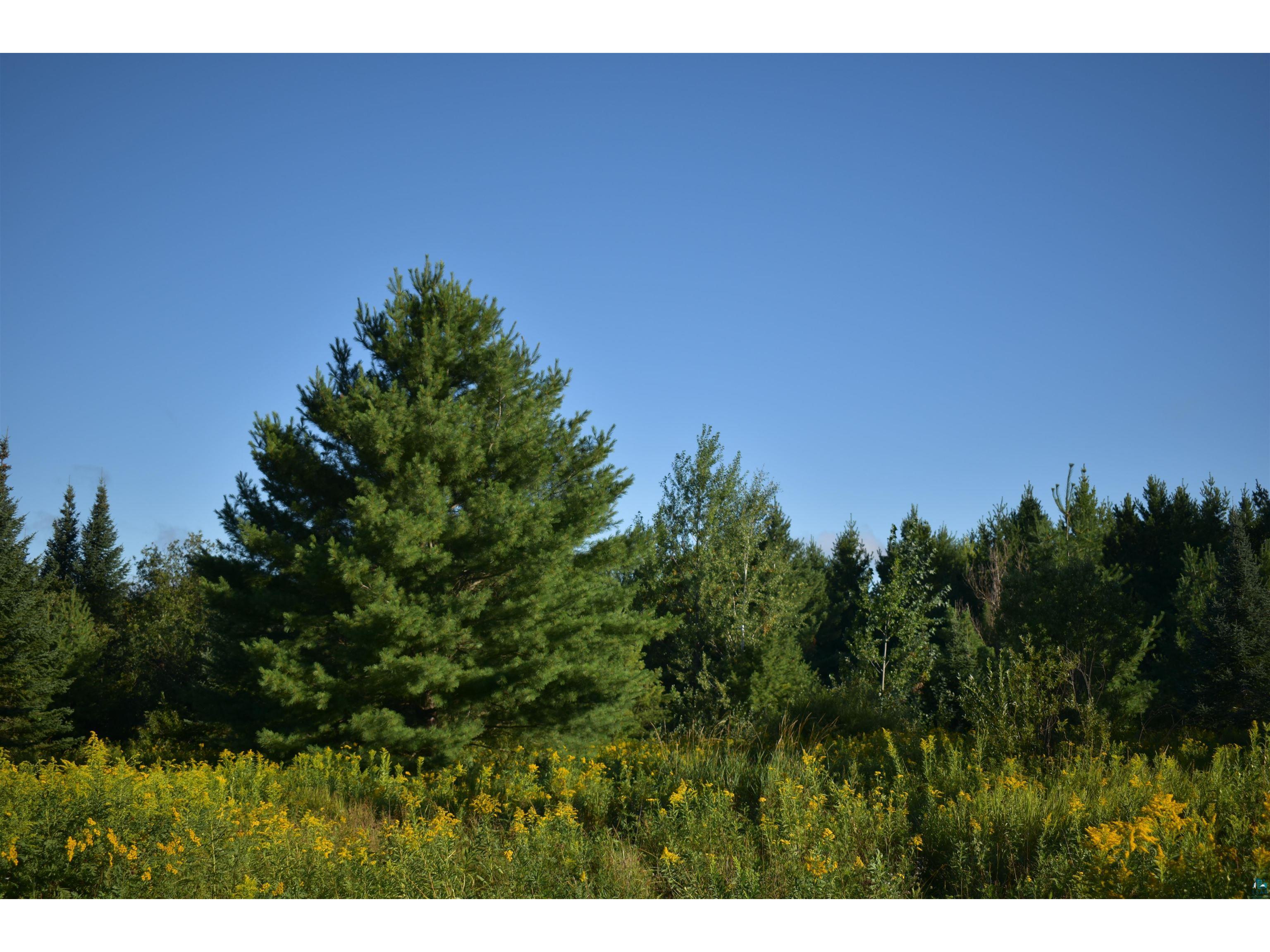 30210 Wannebo Rd Washburn WI 54891 - Thompson 6121626 image18