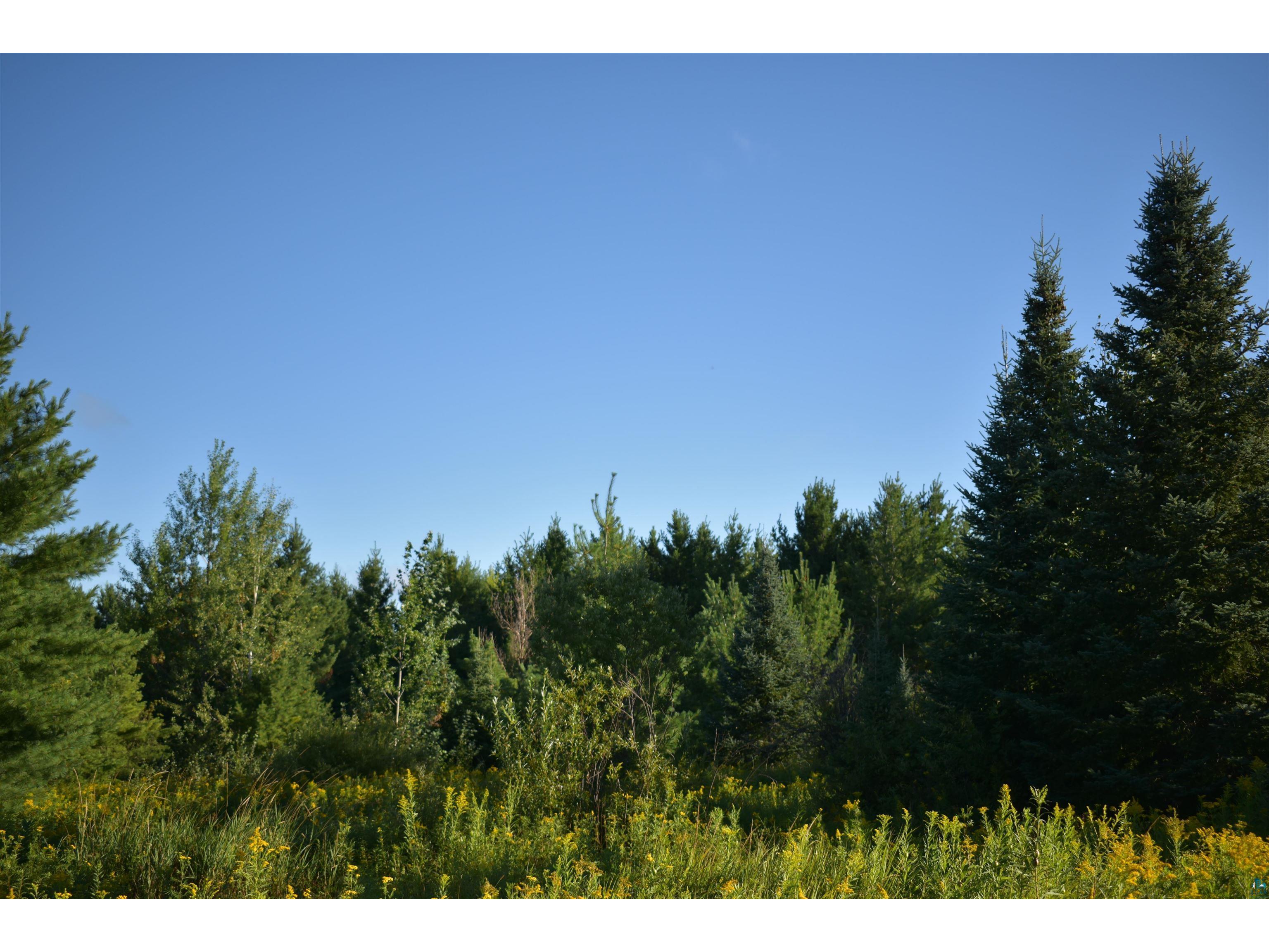 30210 Wannebo Rd Washburn WI 54891 - Thompson 6121626 image19