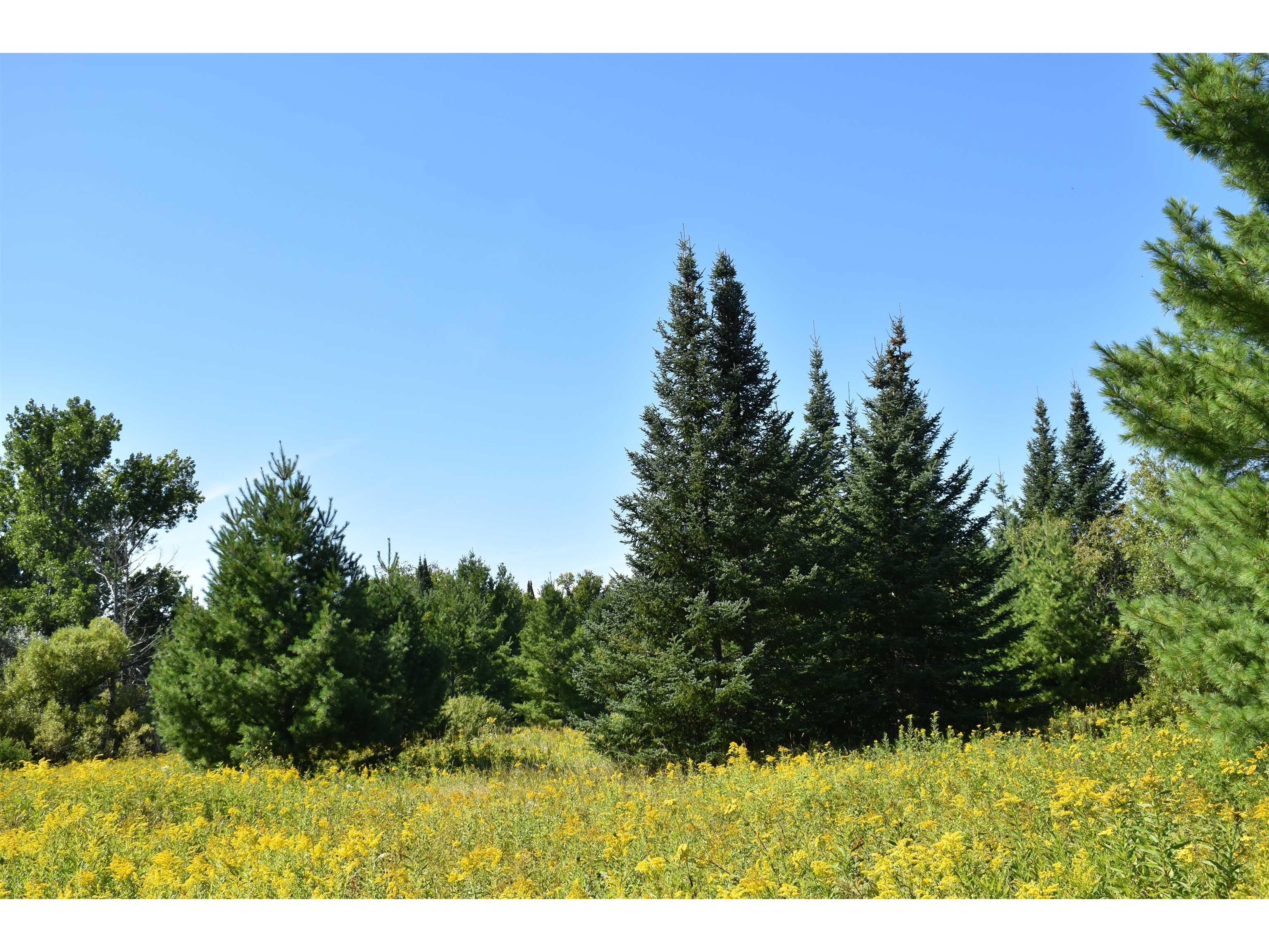 30210 Wannebo Rd Washburn WI 54891 - Thompson 6121626 image2