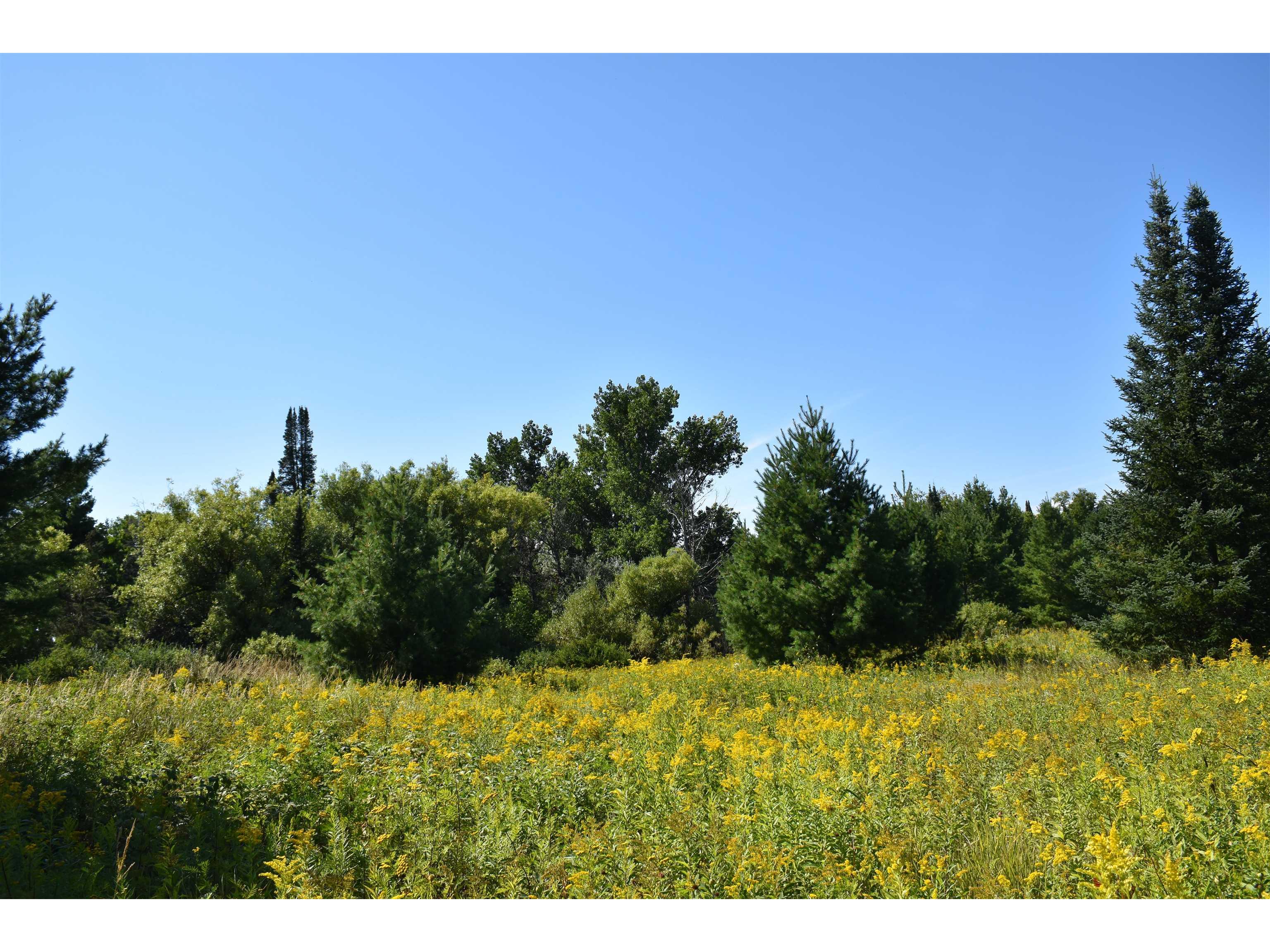 30210 Wannebo Rd Washburn WI 54891 - Thompson 6121626 image6