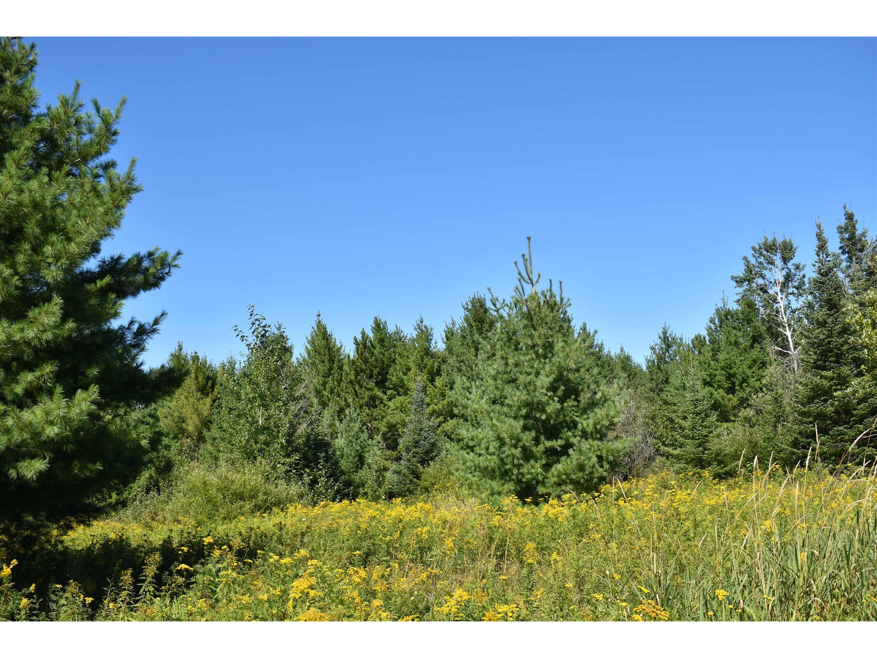 30210 Wannebo Rd Washburn WI 54891 - Thompson 6121626 image7