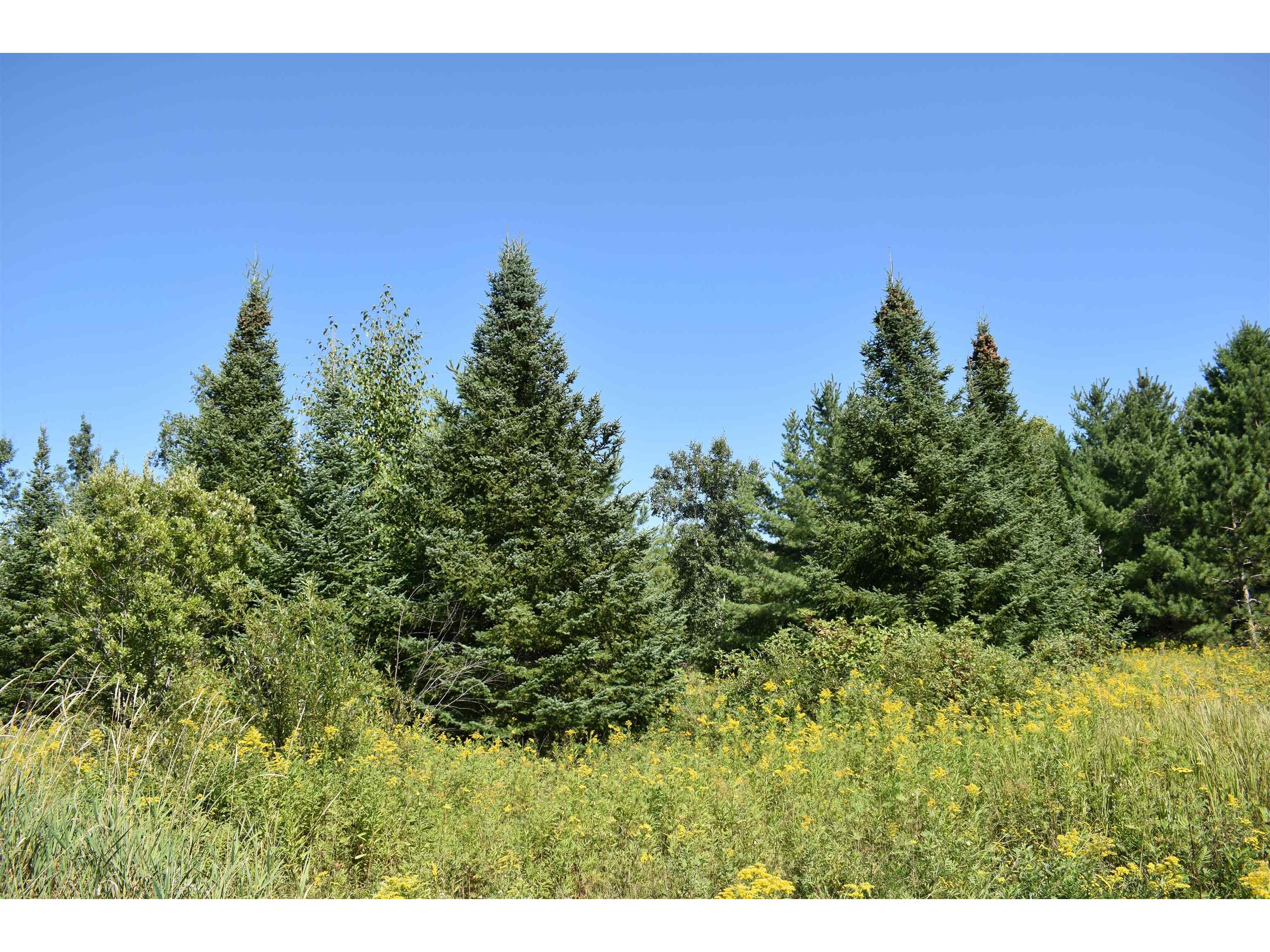 30210 Wannebo Rd Washburn WI 54891 - Thompson 6121626 image8