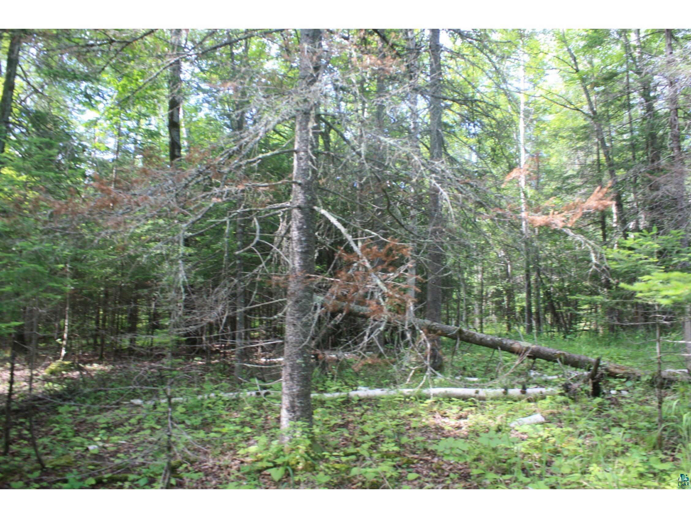 304X S Landala Rd Maple WI 54854 6126254 image26