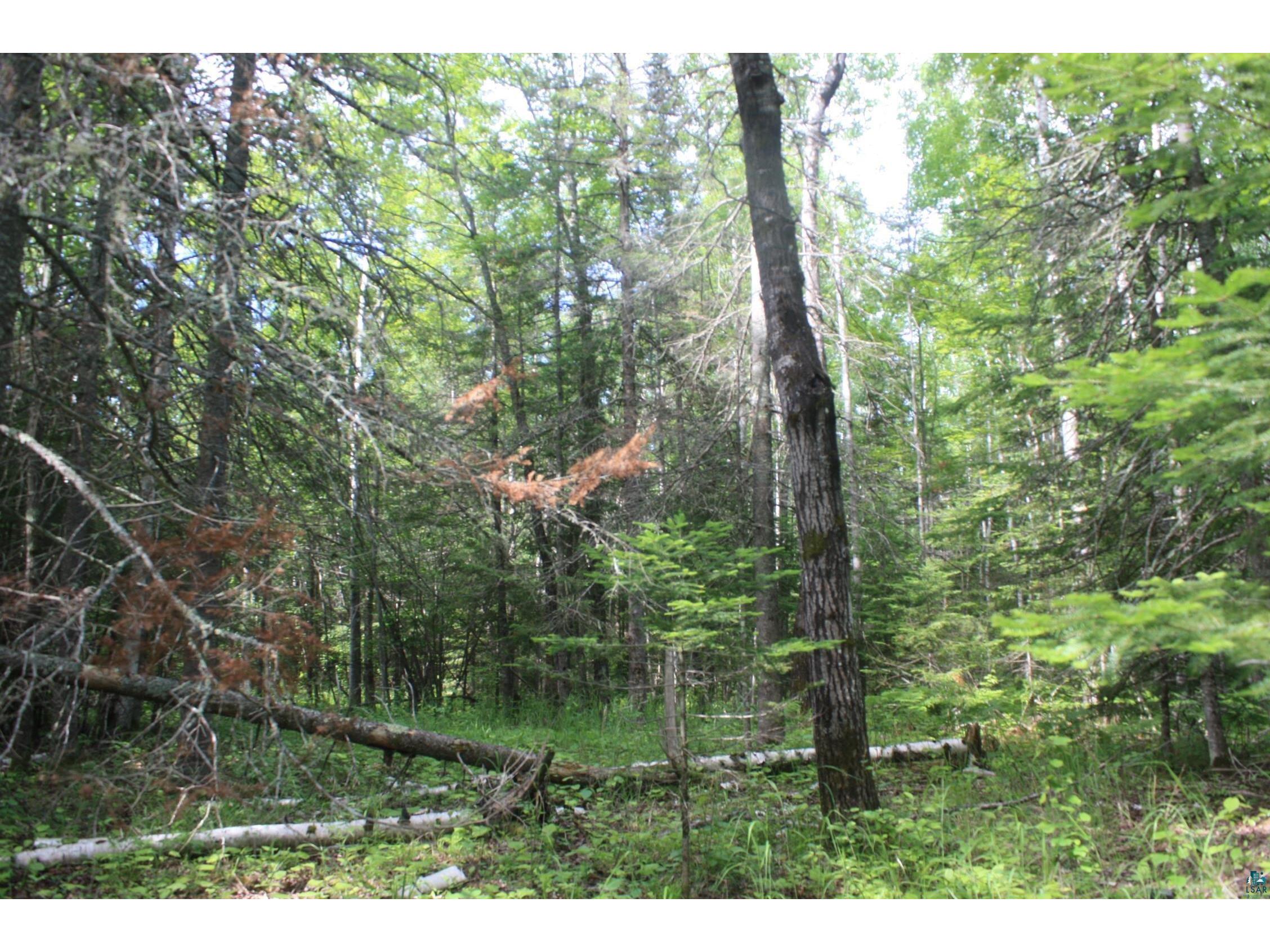 304X S Landala Rd Maple WI 54854 6126254 image27