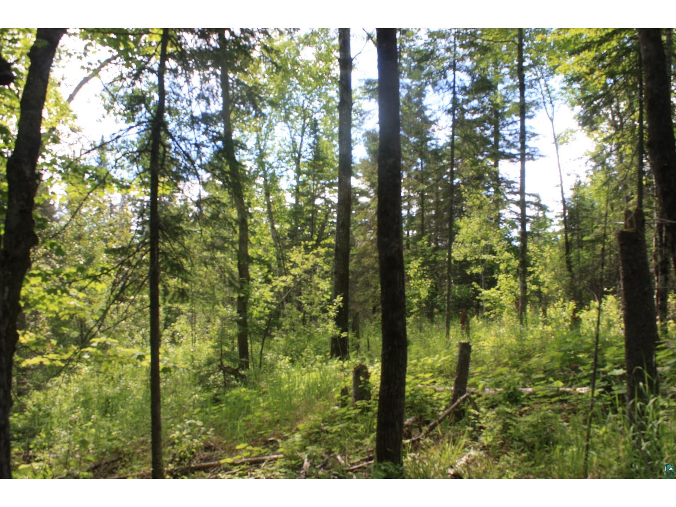 304X S Landala Rd Maple WI 54854 6126254 image28
