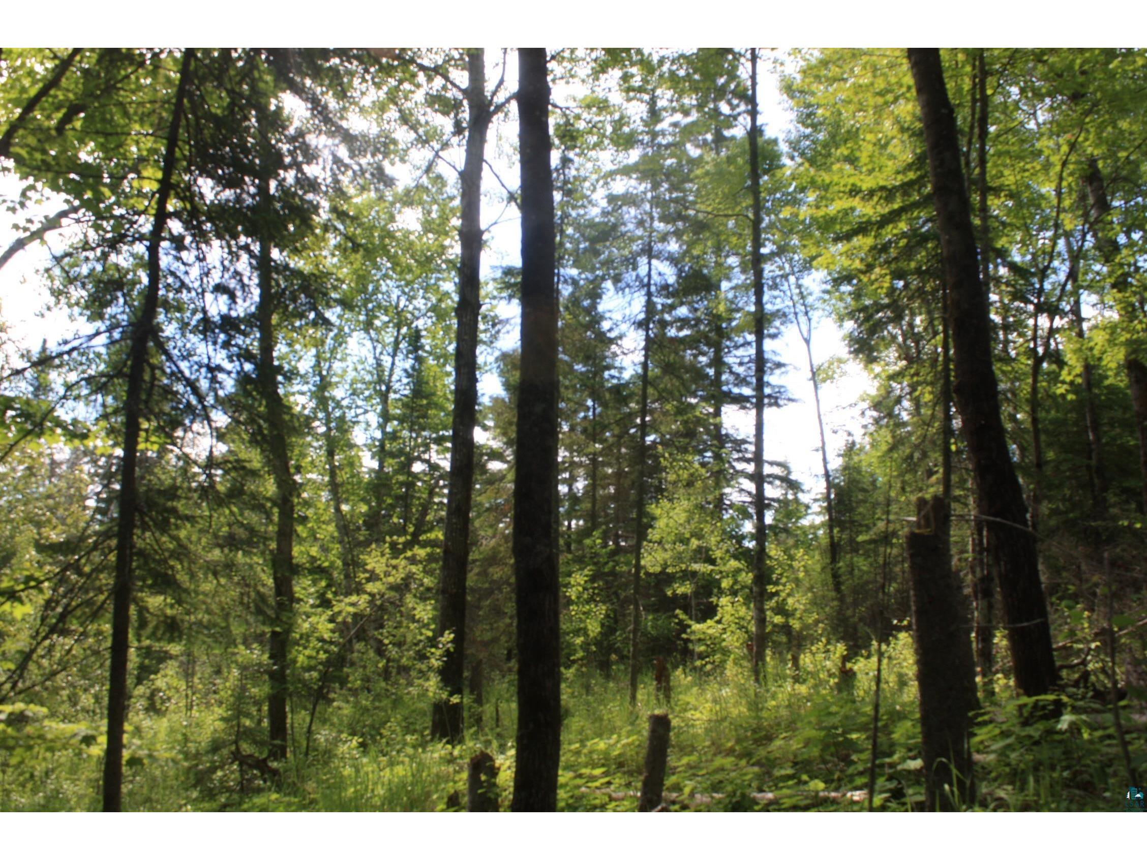 304X S Landala Rd Maple WI 54854 6126254 image29