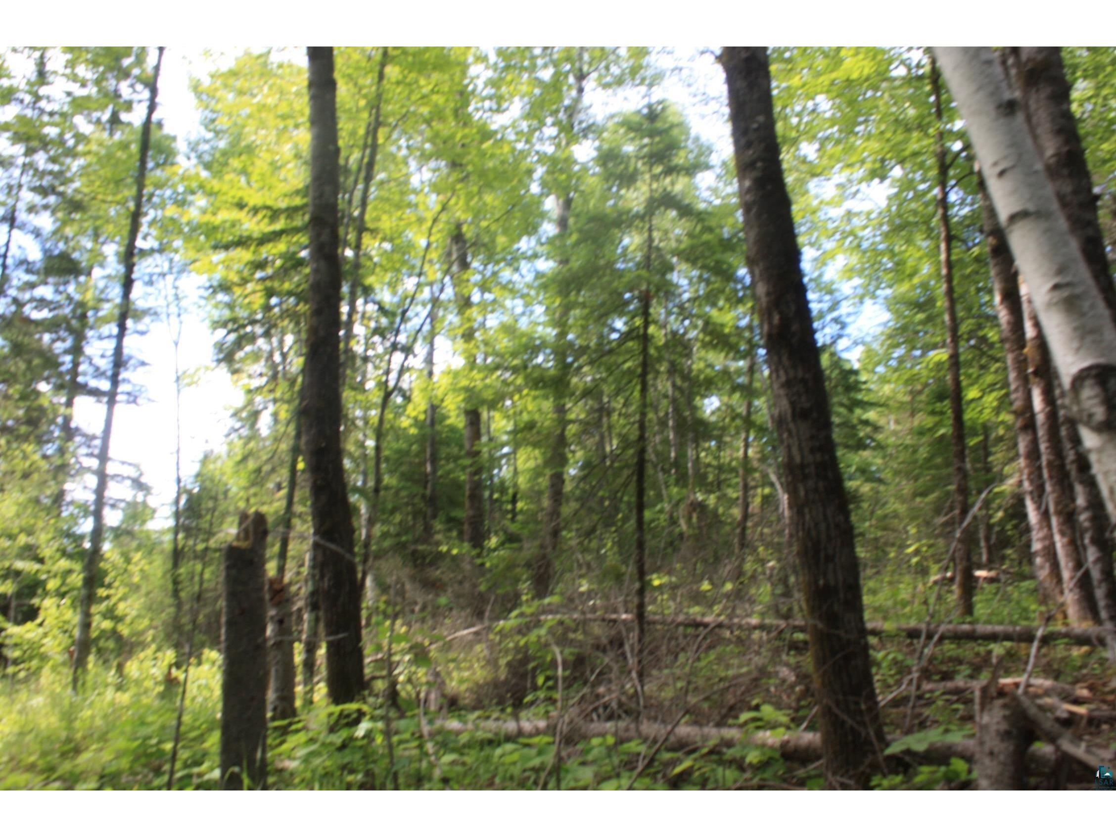 304X S Landala Rd Maple WI 54854 6126254 image30