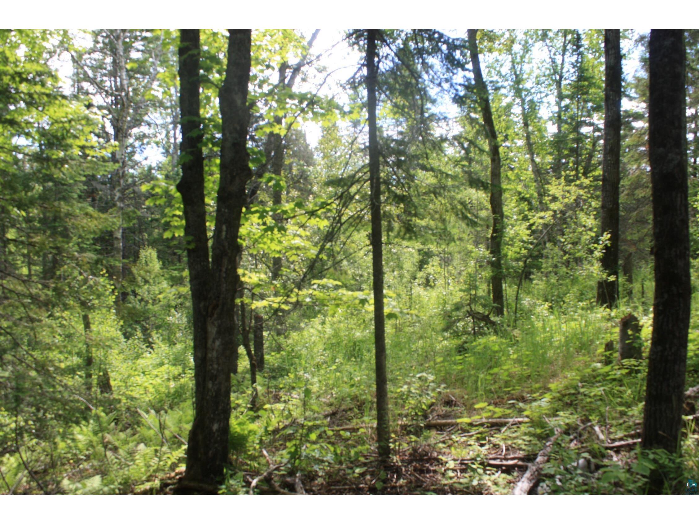 304X S Landala Rd Maple WI 54854 6126254 image31