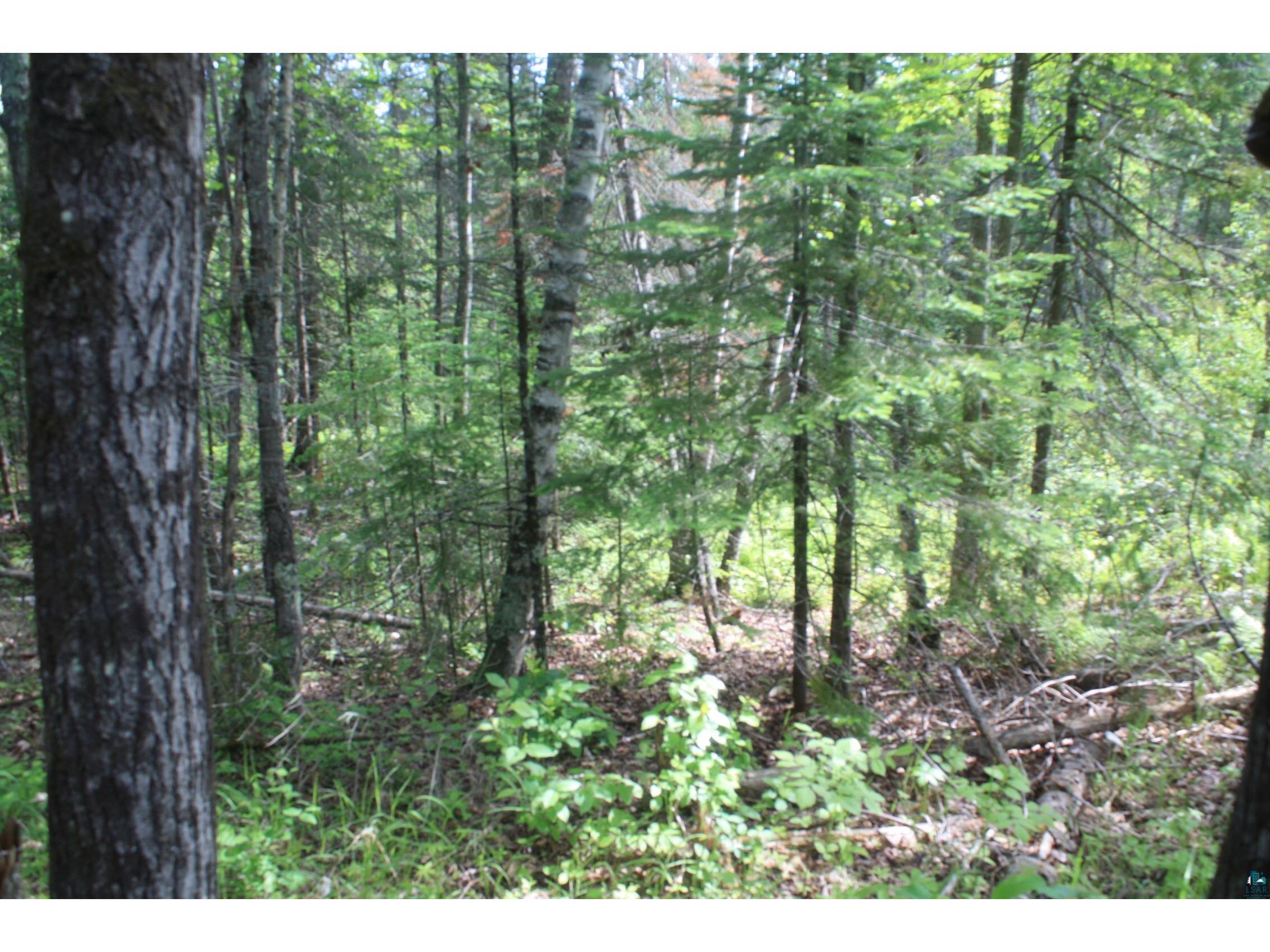 304X S Landala Rd Maple WI 54854 6126254 image32