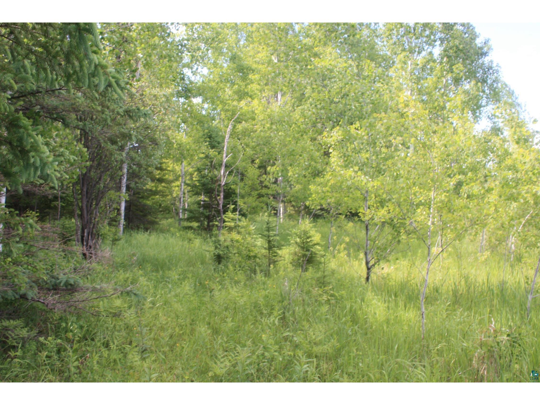 304X S Landala Rd Maple WI 54854 6126254 image44