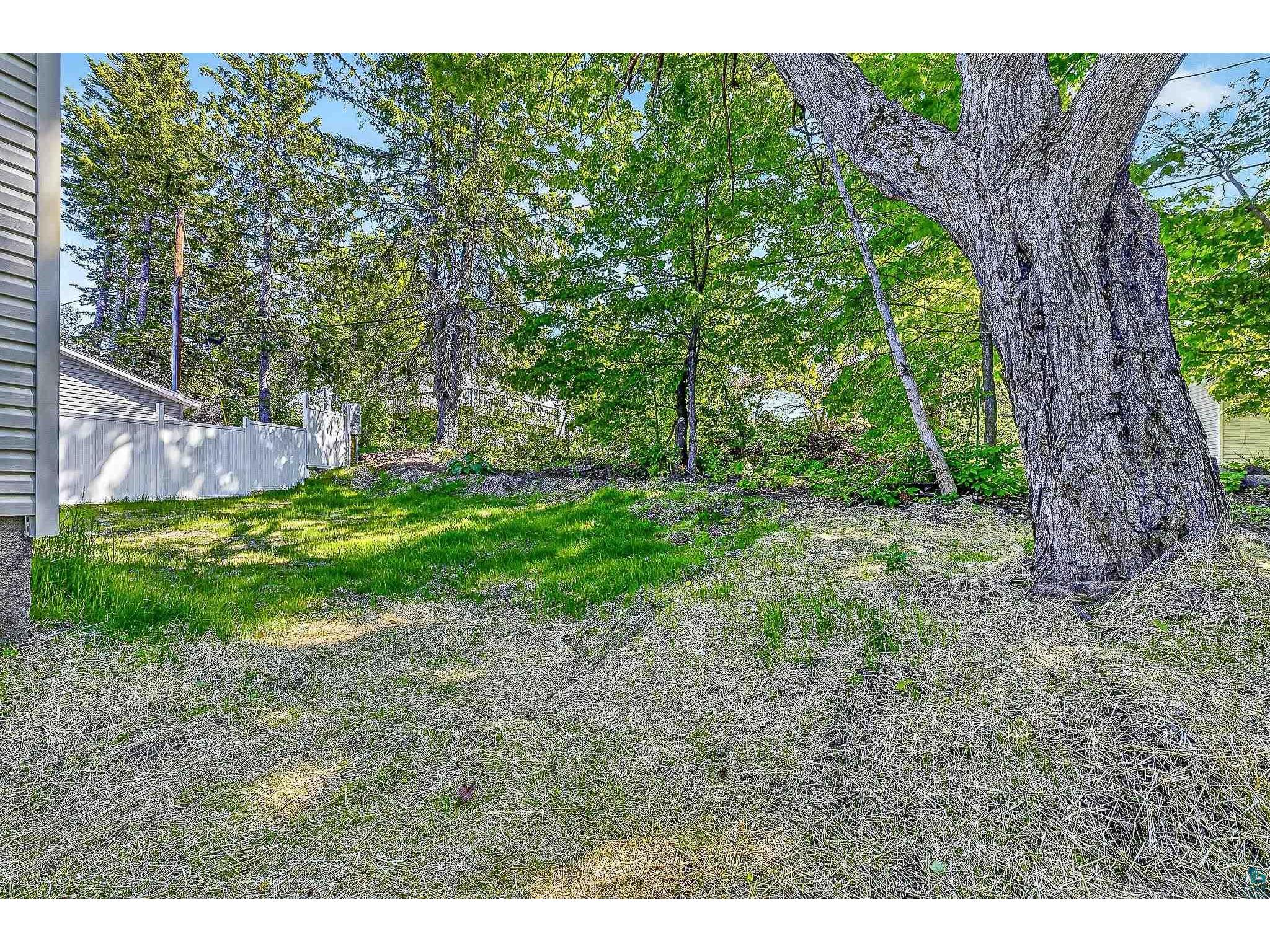 306 W Palm St Duluth MN 55811 6125922 image32