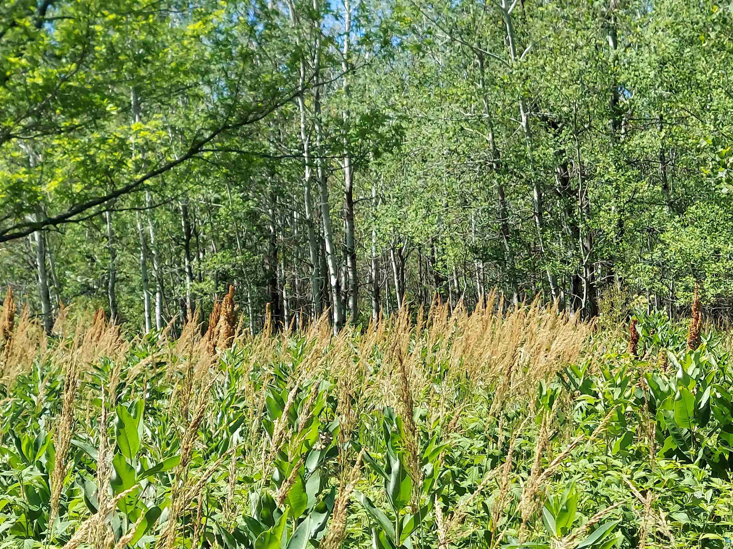 30965 Petrin Road, Sanborn, WI 54806 MLS 6105237 Edina Realty