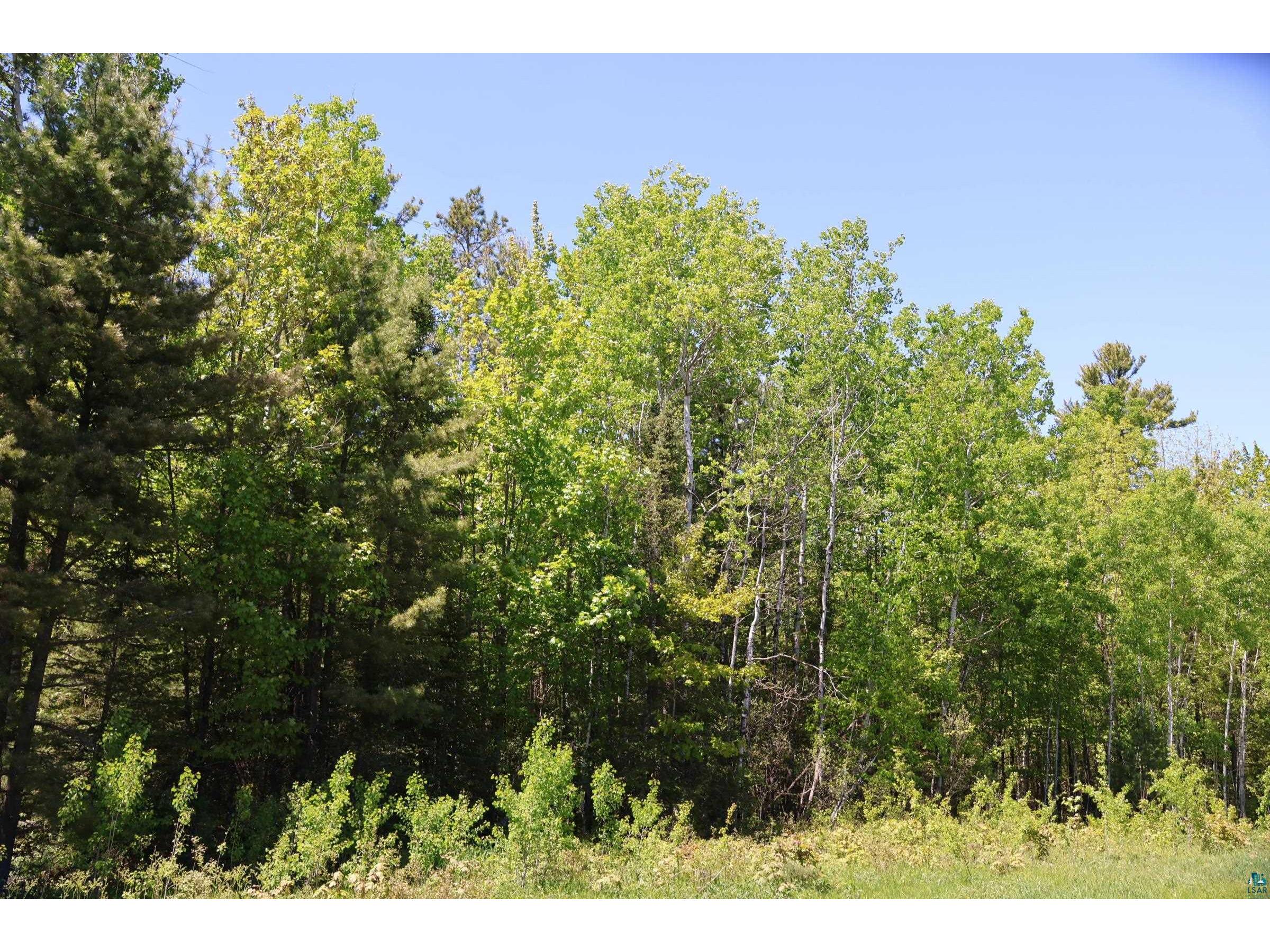 30XXX Brevak Rd Washburn WI 54891 6125721 image47