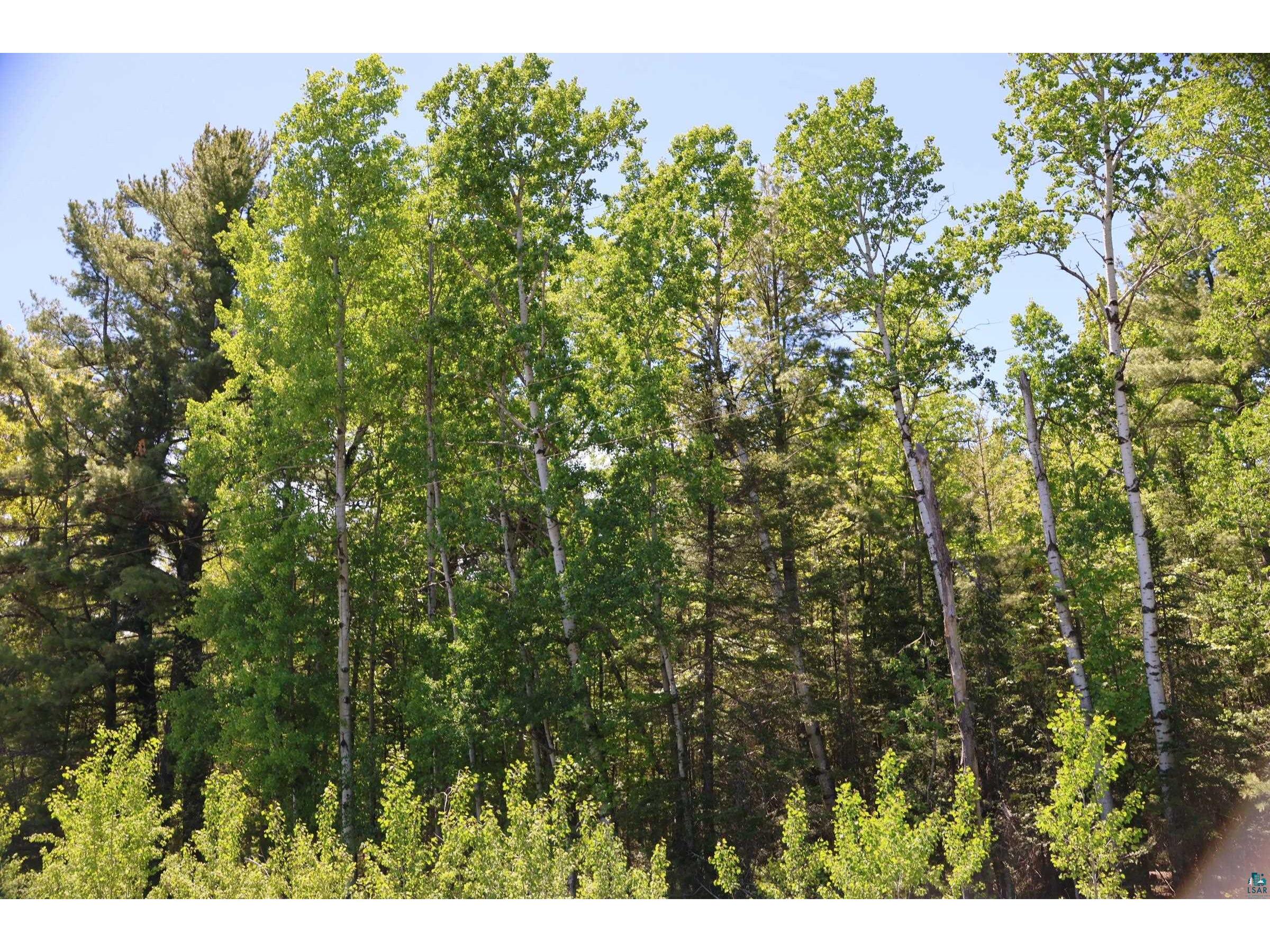 30XXX Brevak Rd Washburn WI 54891 6125721 image48