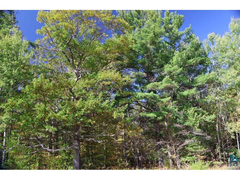 30XXX Brevak Rd Washburn WI 54891 6125721 image8