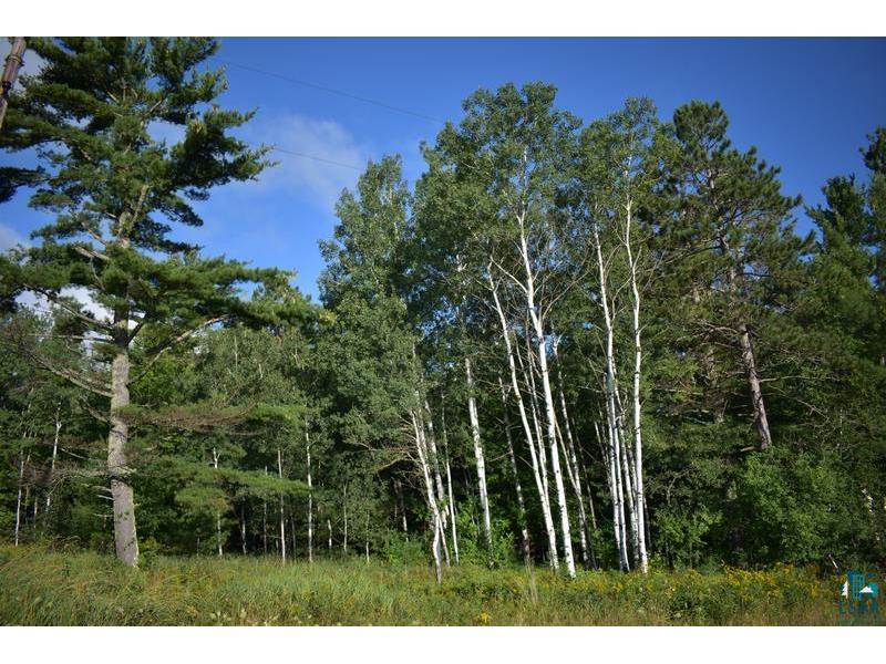 30XXX Brevak Rd Washburn WI 54891 6125721 image9