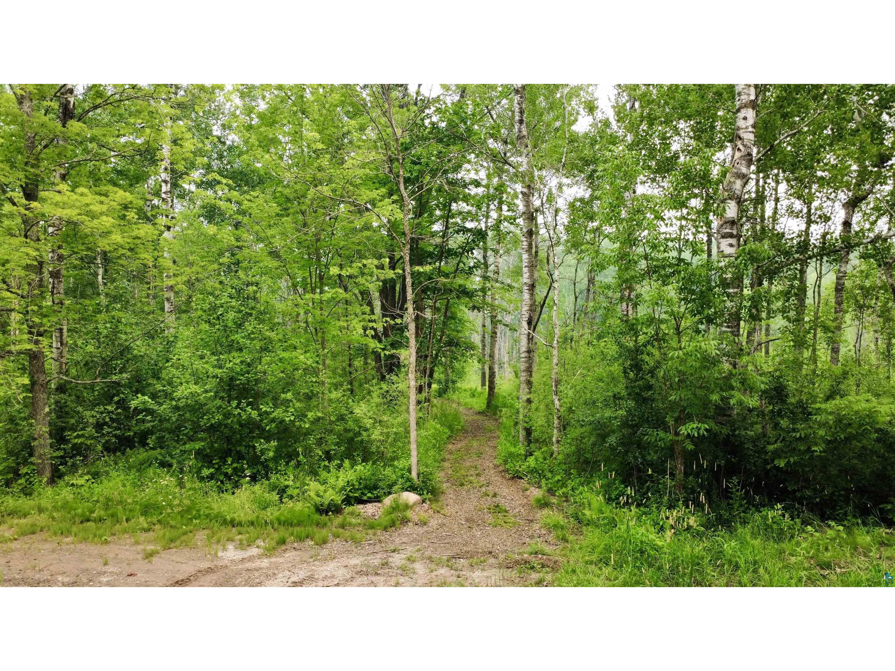 3139 W Tischer Rd Duluth MN 55803 6126821 image48
