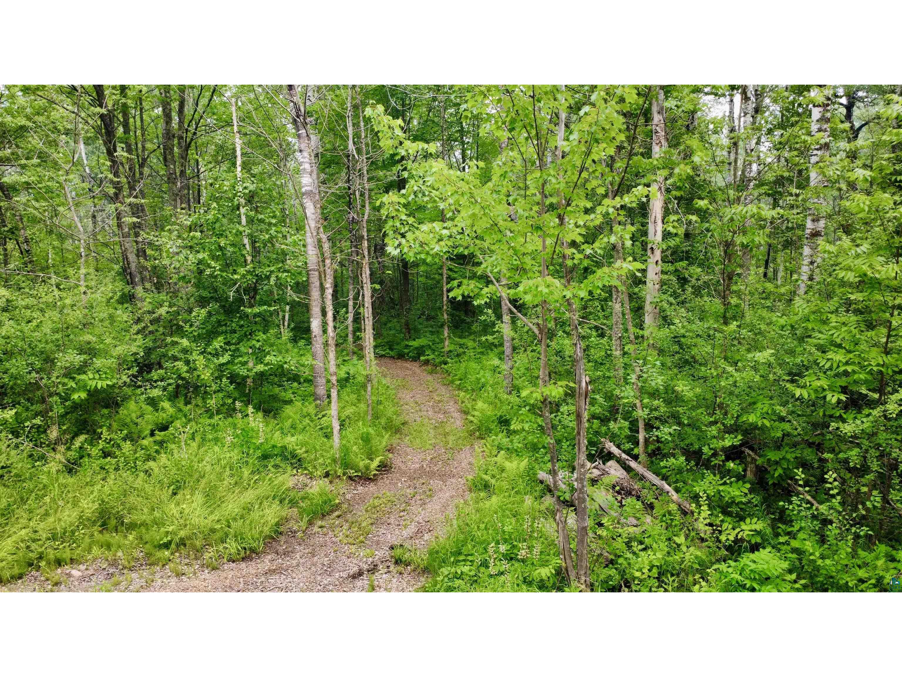 3139 W Tischer Rd Duluth MN 55803 6126821 image49